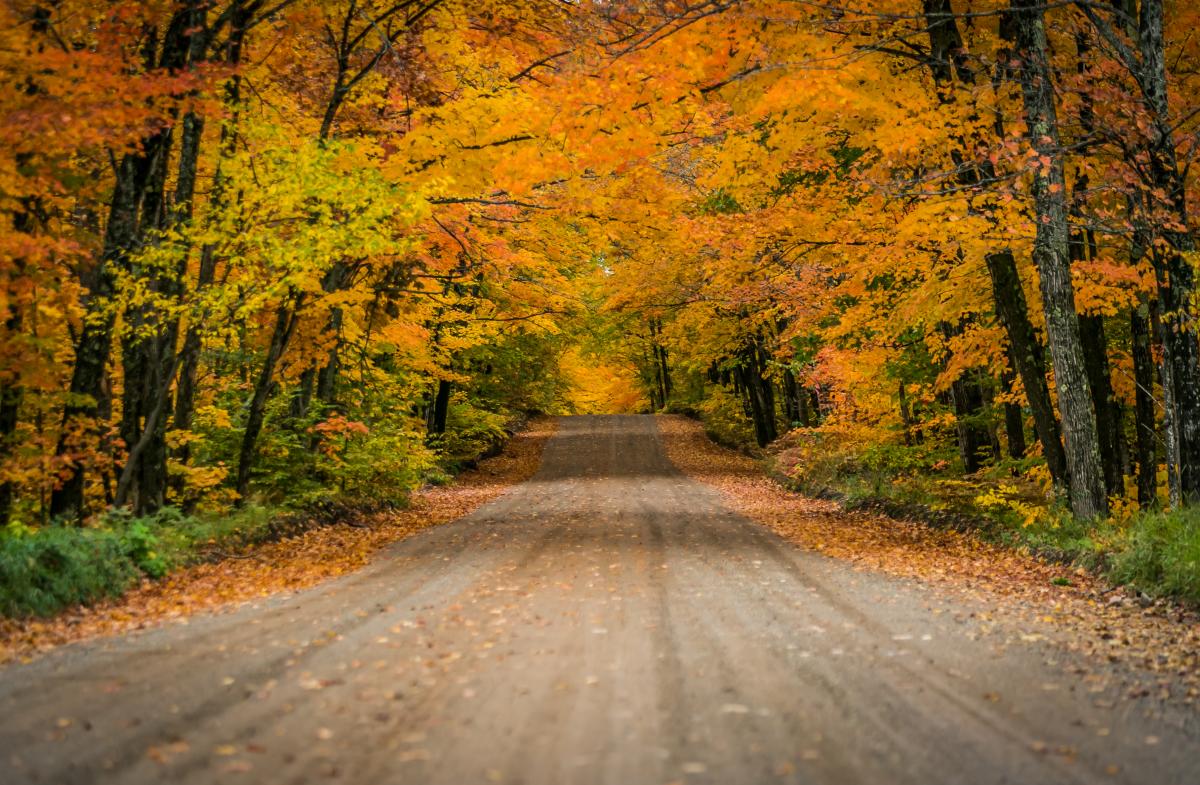 Fall colors on County Road 510