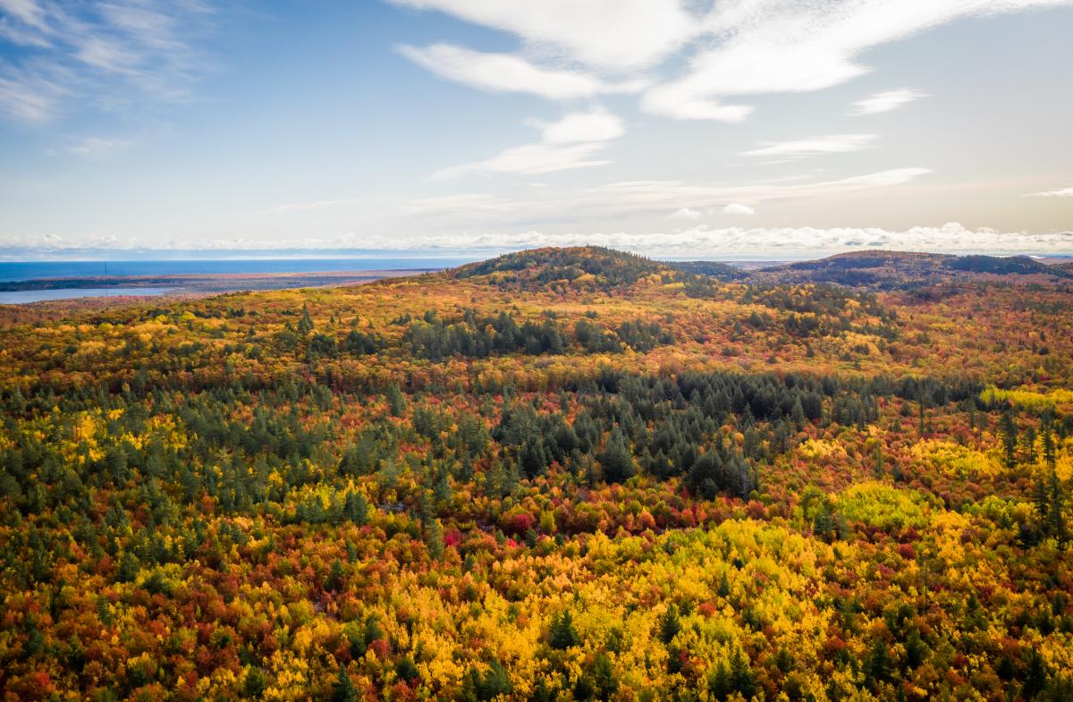 Aerial image of Thomas Rock taken from a drone