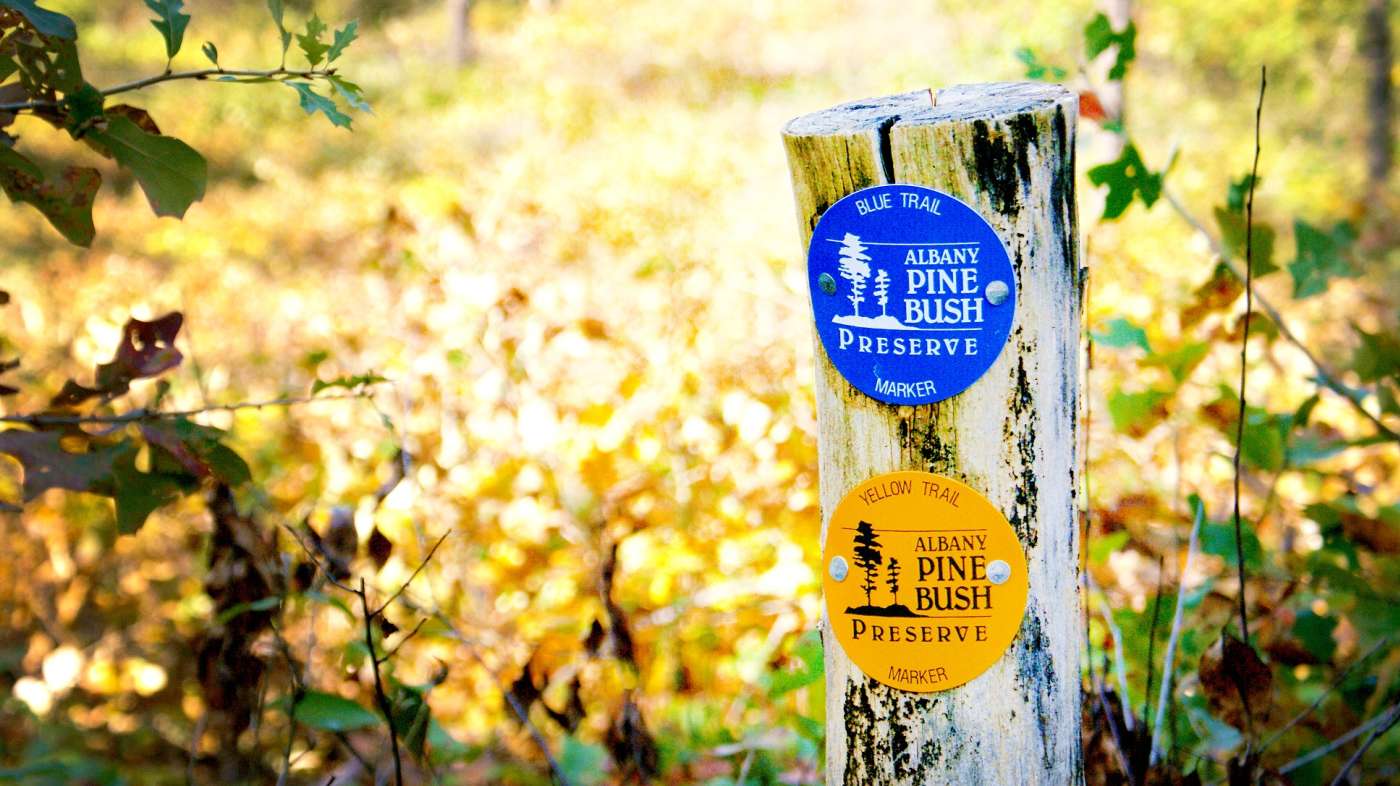 Albany Pine Bush Preserve