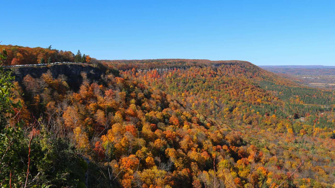 Thacher Park in Fall
