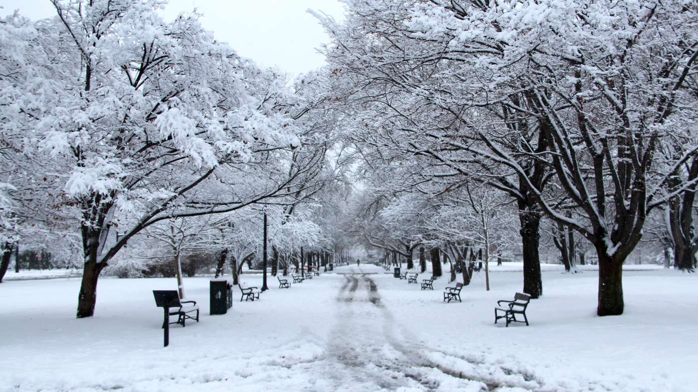 Washington Park Promenade in winter snows.