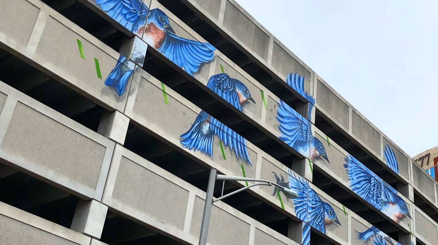 Albany Parking Garage Mural
