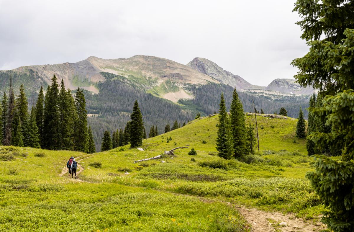 Backpacking on the Colorado Trail at Molas Pass During Summer | Hans Hollenbeck | Visit Durango