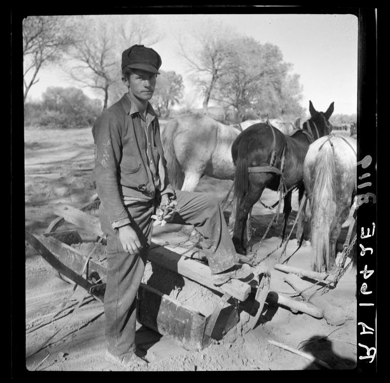 Dorothea Lange - Bosque Farms Project (1935)