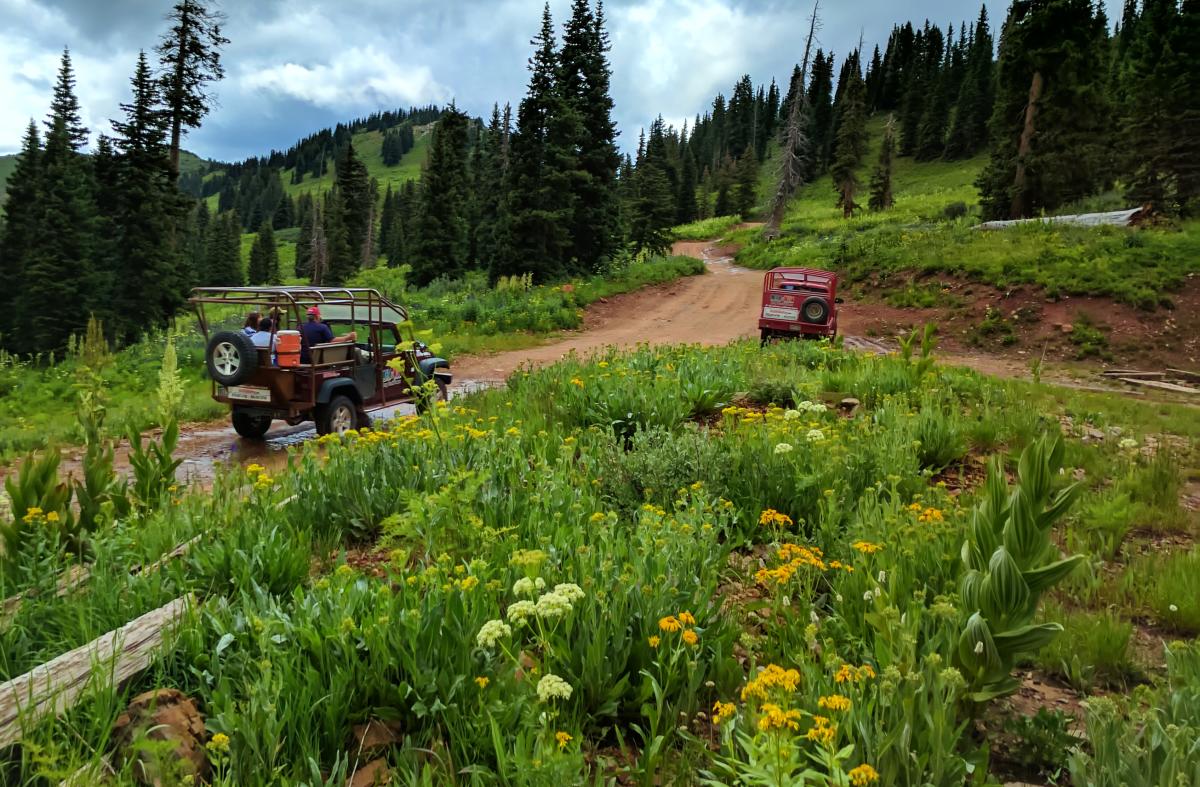 Jeeping-off-roading