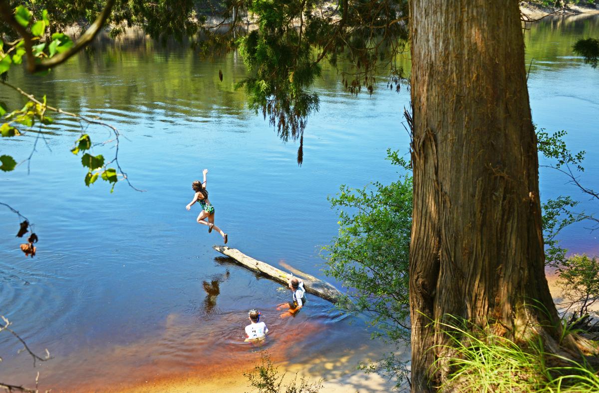 Suwannee River (Peter W. Cross).jpg