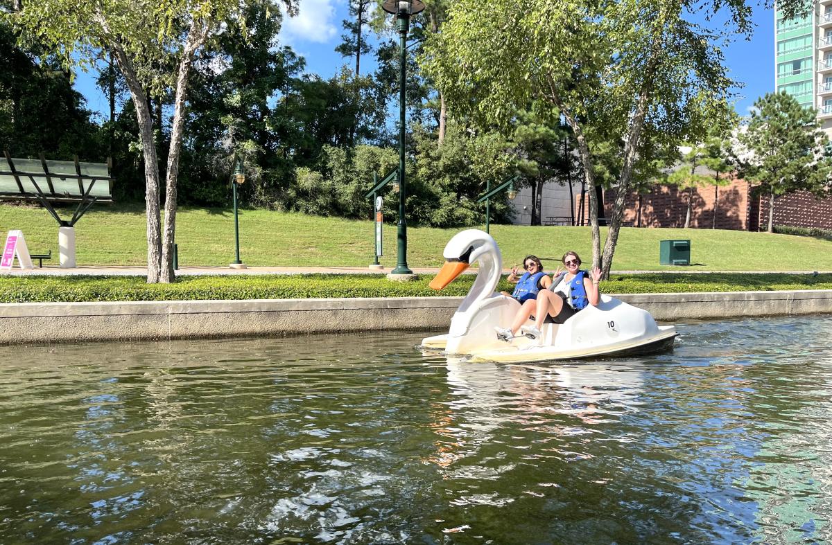 TSAE Attendees on Swan Boat Excursion