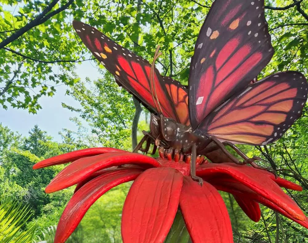 It's a Bug's World at Roger Williams Park Zoo