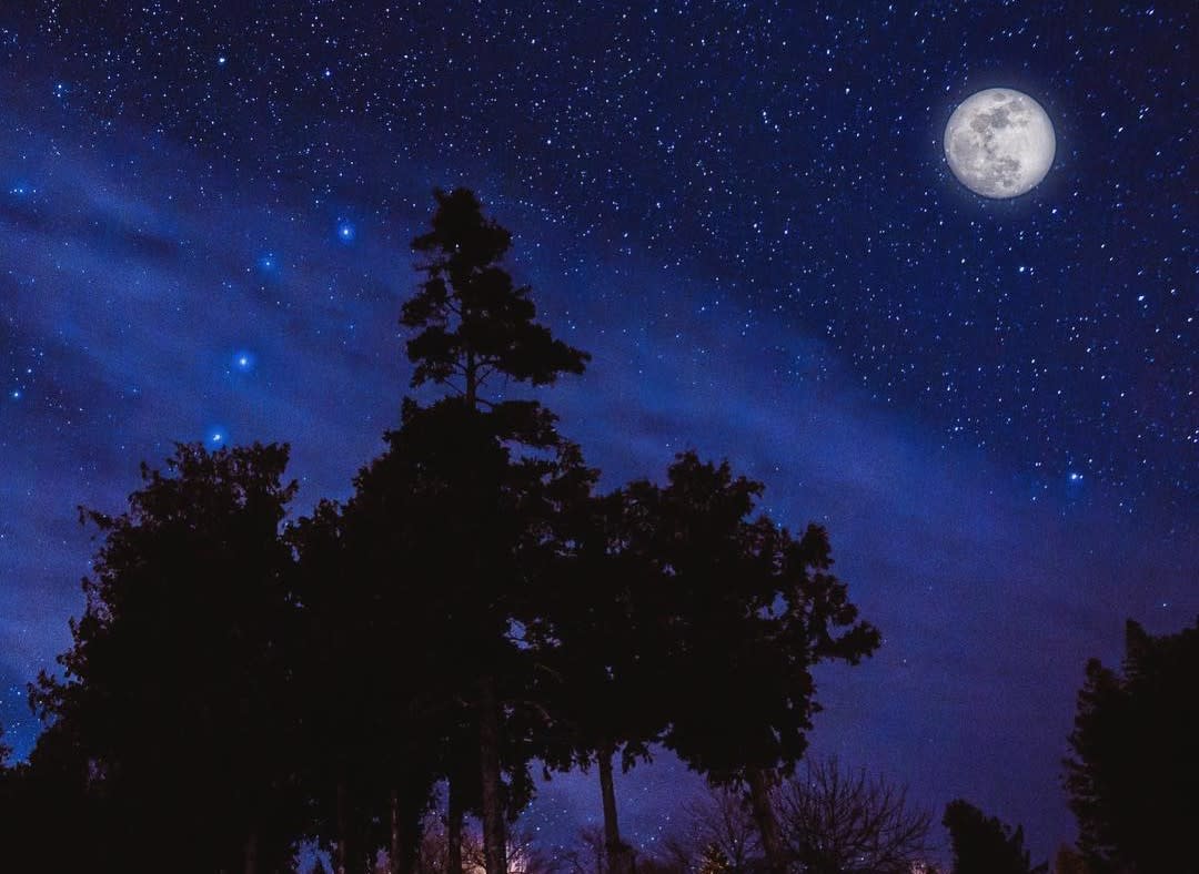 A full moon shines amid a starry night sky above pine trees on Mackinac Island