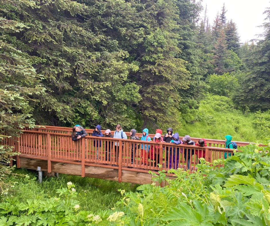 A group of children, dressed in colorful rain jackets, stands on a wooden bridge at the Wynn Nature Center in Homer, Alaska. Surrounded by lush green trees and vegetation, the children are engaged in exploring nature, highlighting the beauty and educational focus of the Center for Alaskan Coastal Studies.