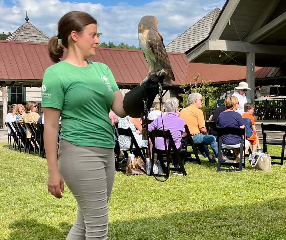 Village Green Nature Series