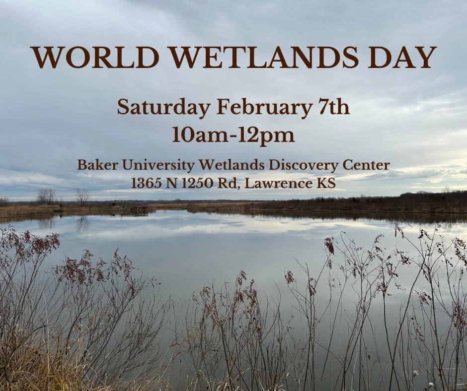World Wetlands Day