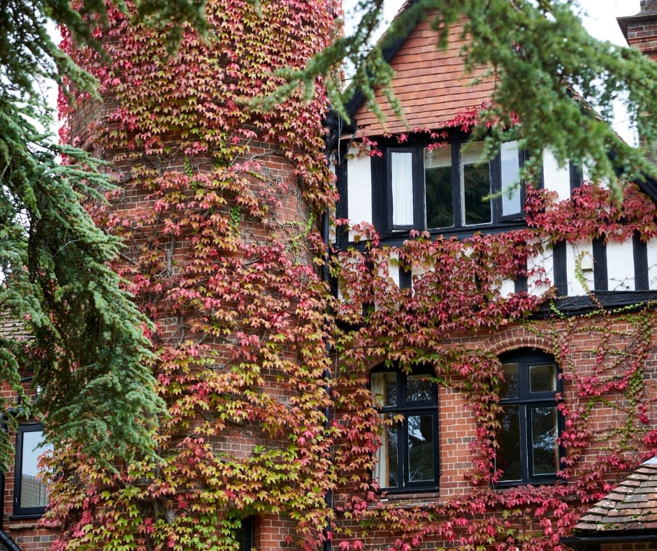 Autumn Breaks Blog - Careys Manor Hotel