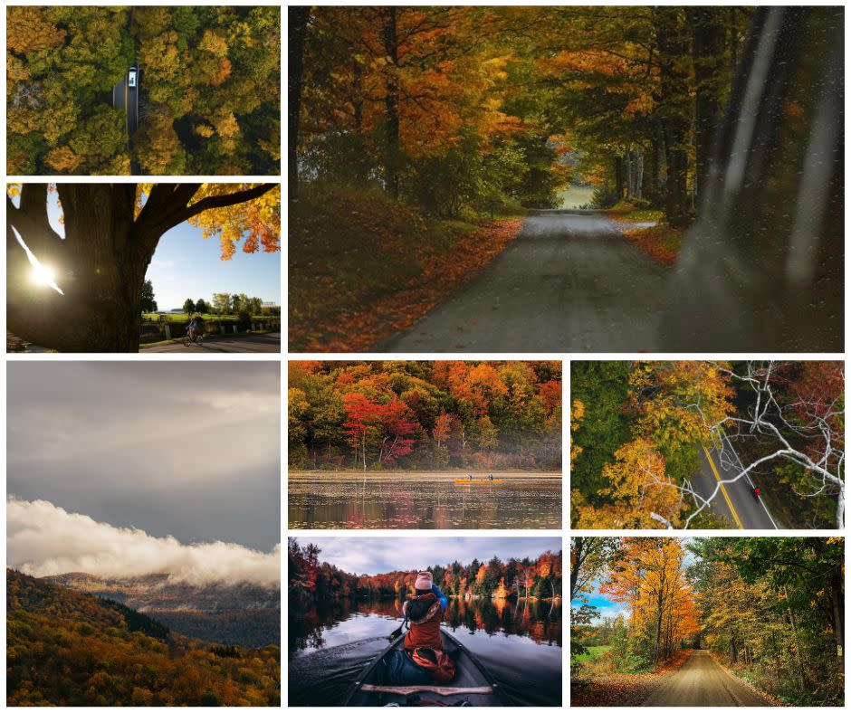 Fall Foliage Collage