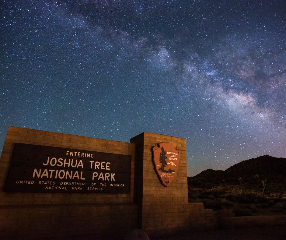 Joshua Tree National Park Night Sky