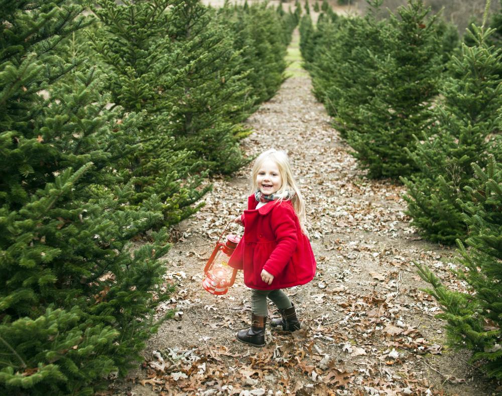 Little girl at Christmas tree farm