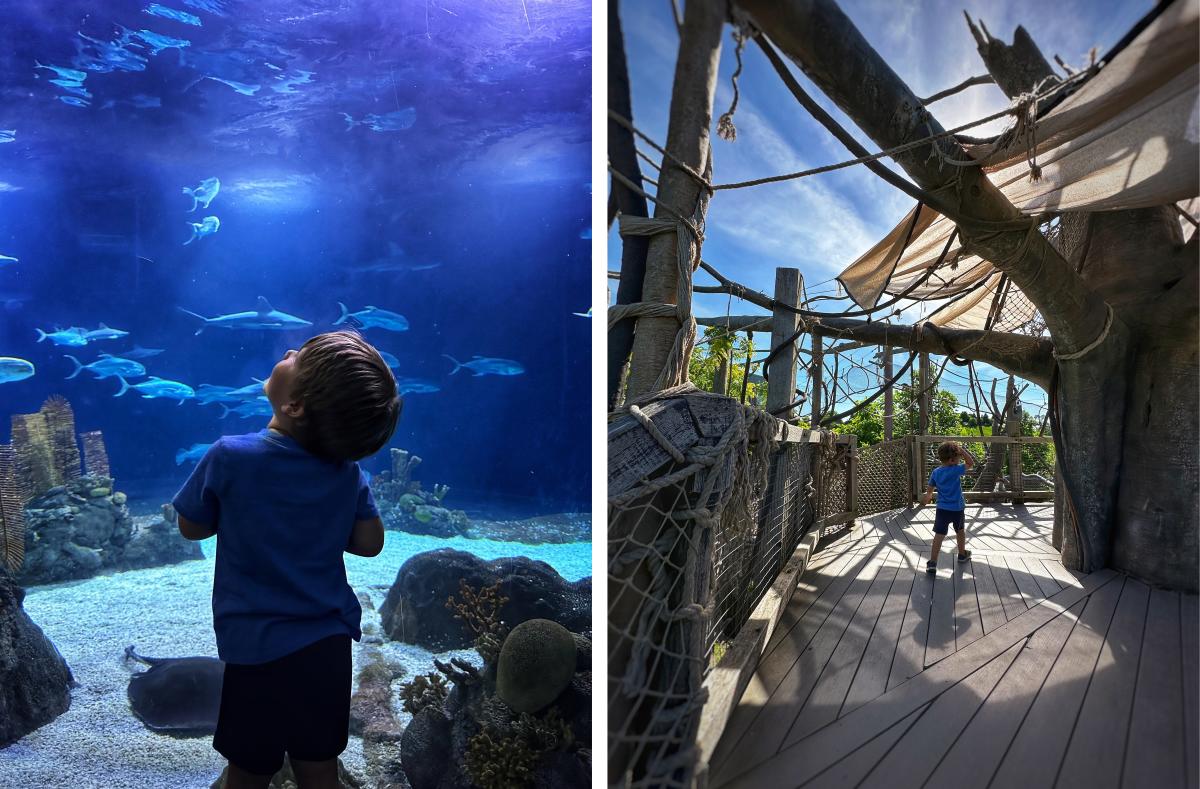 Omaha's Henry Doorly Zoo and Aquarium