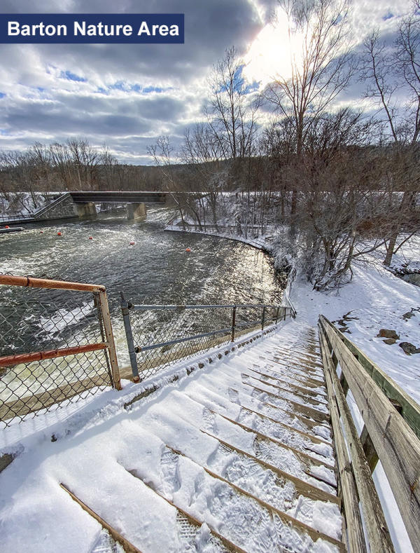 Barton Nature Area in winter