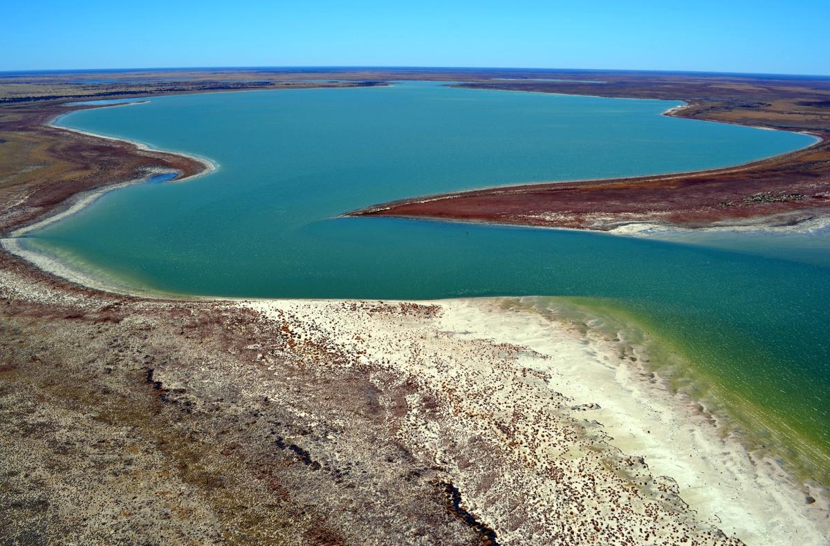 A view of Paruku (Lake Gregory) on the northern edge of the Tanami and Great Sandy deserts.