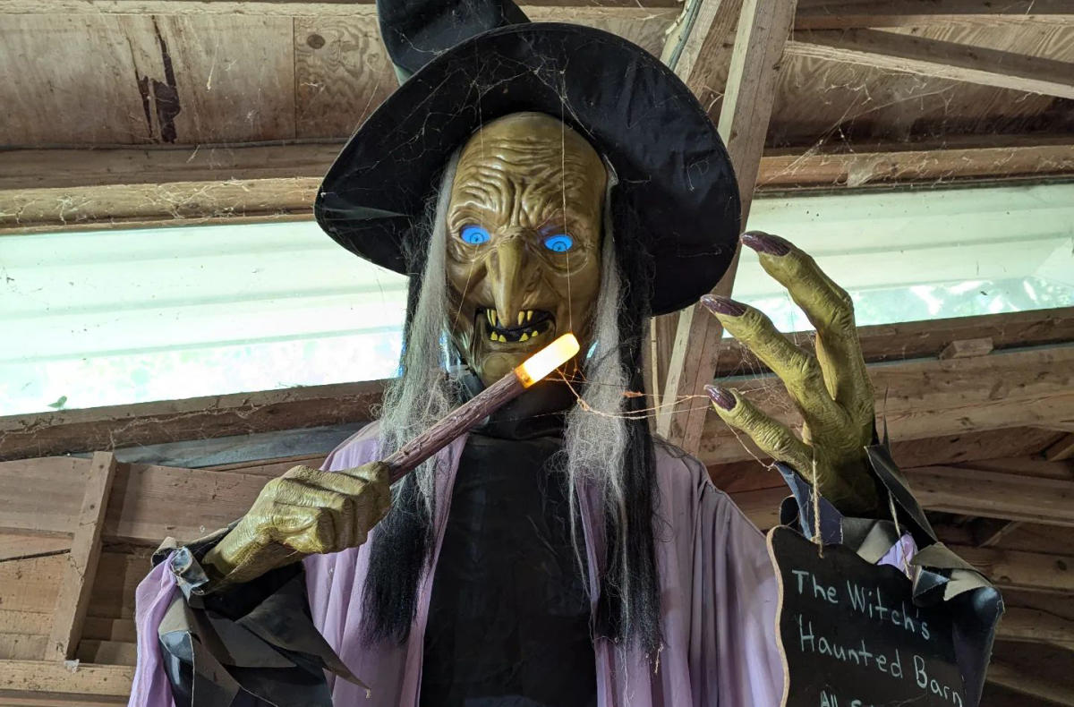 Witch at Firefly Farms' Haunted Barn