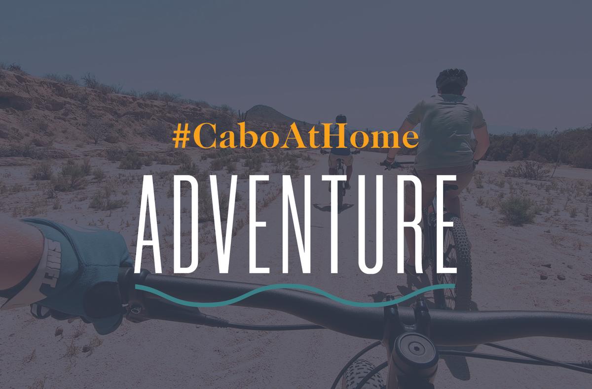 Cabo At Home: Adventure