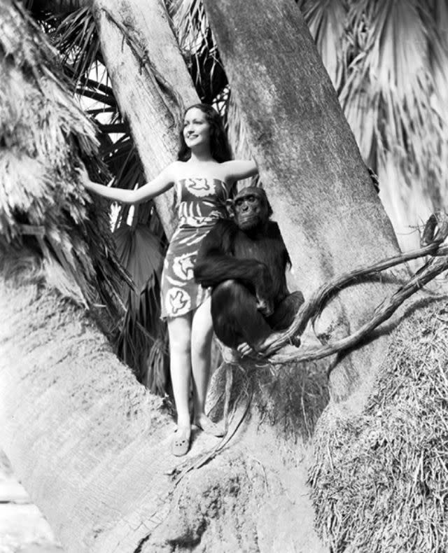 her jungle love