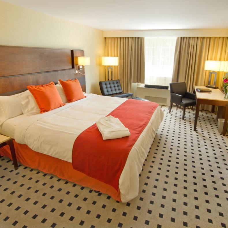 Radisson-10
