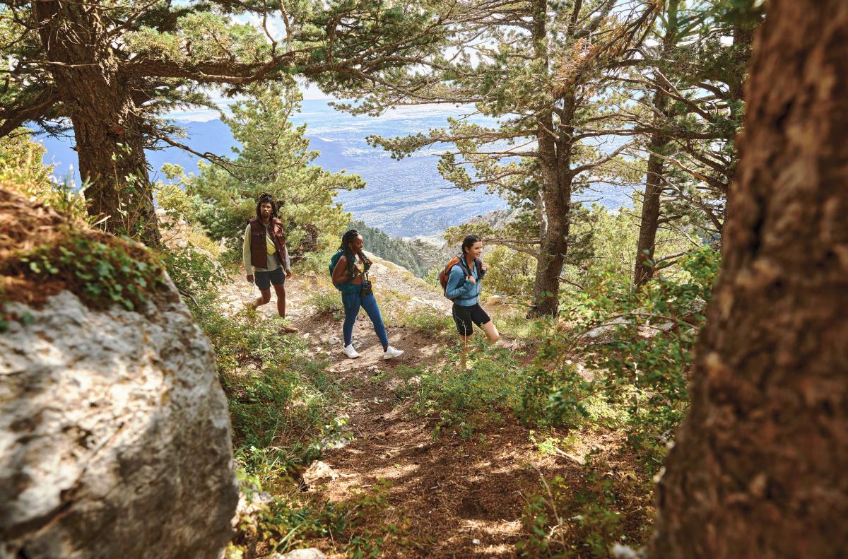 Three people hike a trail at the top of the Sandia Mountains