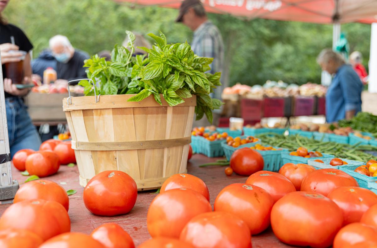 Tomatoes and an edible garden plant at the Burke Famers Market