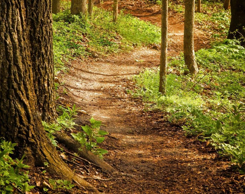 Vandolah Nature Preserve
