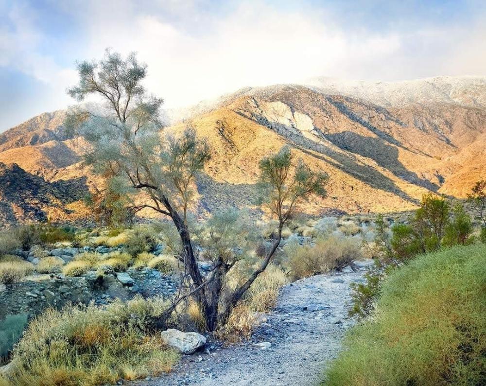 oswit canyon