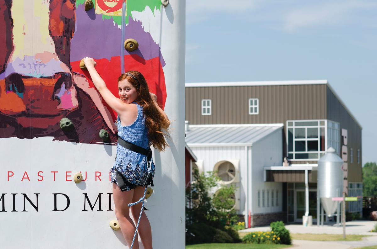 Fair Oaks Farm Rock Climbing