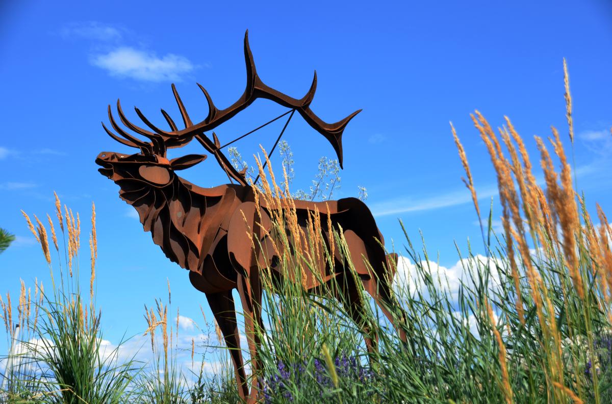Elk Sculpture by Smoker Marchand in Westbank First Nation near Kelowna, BC