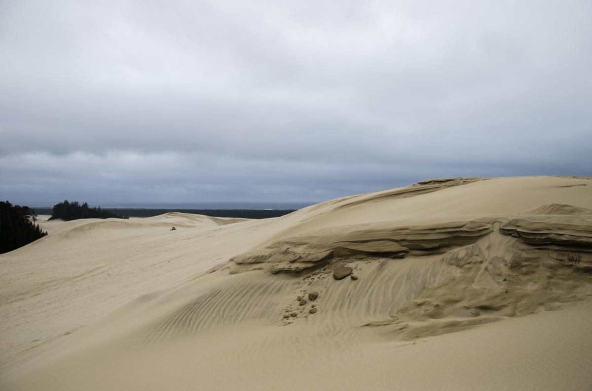 Oregon Dunes National Recreation Area by Katie McGuigan Oregon Dunes National Recreation Area by Katie McGuigan