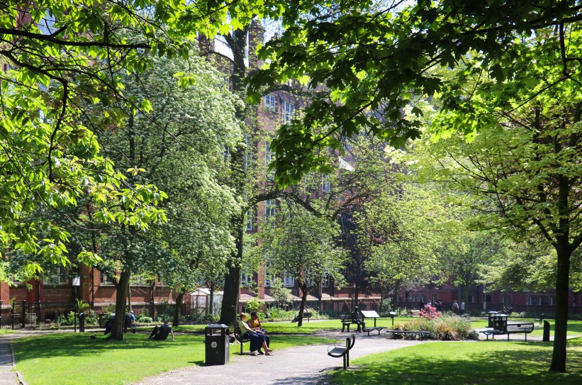 Image of a park