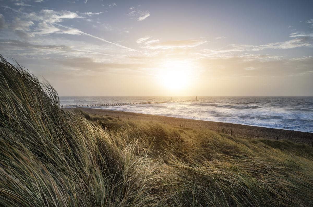 sand dunes at West Beach Littlehampton