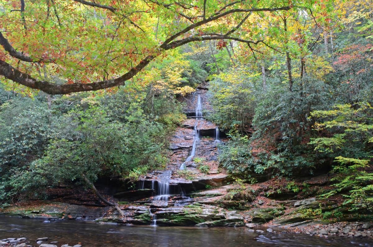 Tom Branch Falls in the Fall