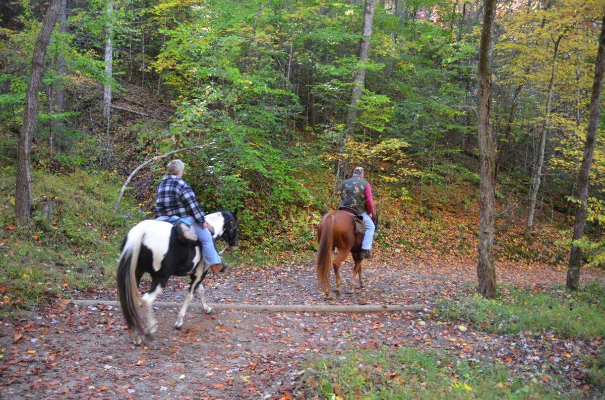 Horseback Riding