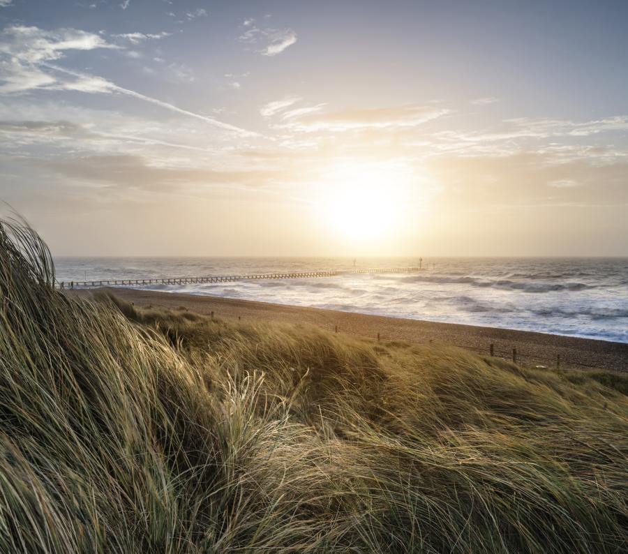 sand dunes at West Beach Littlehampton