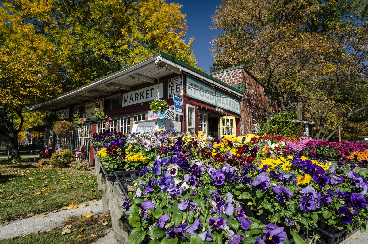 flowers in front of store