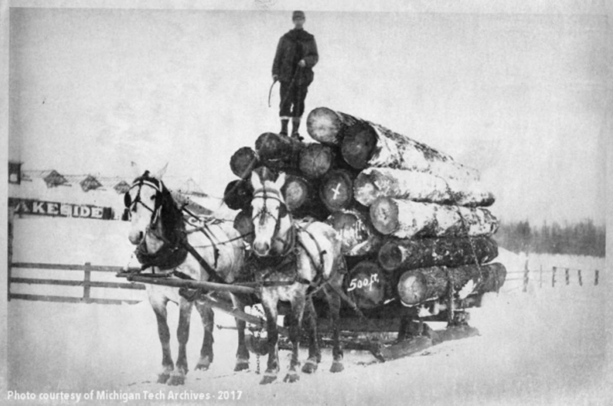 Worchester Lumber Co. load of logs. [A man drives a two horse sled pulling a load of timber in winter