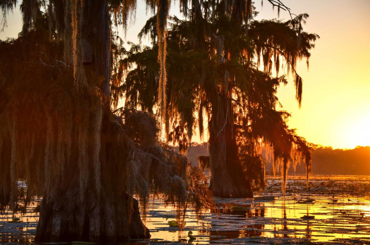 One-day Must Sees - Lake Martin
