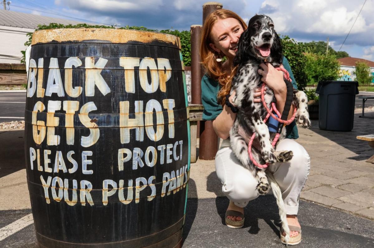 A dog is held by a woman in front of a barrel that says Black Top gets hot