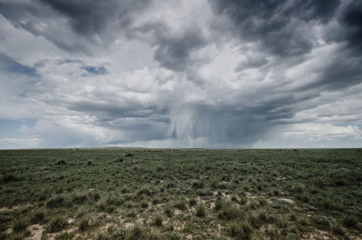 Walking rain sweeps the high plains, cooling the grasslands