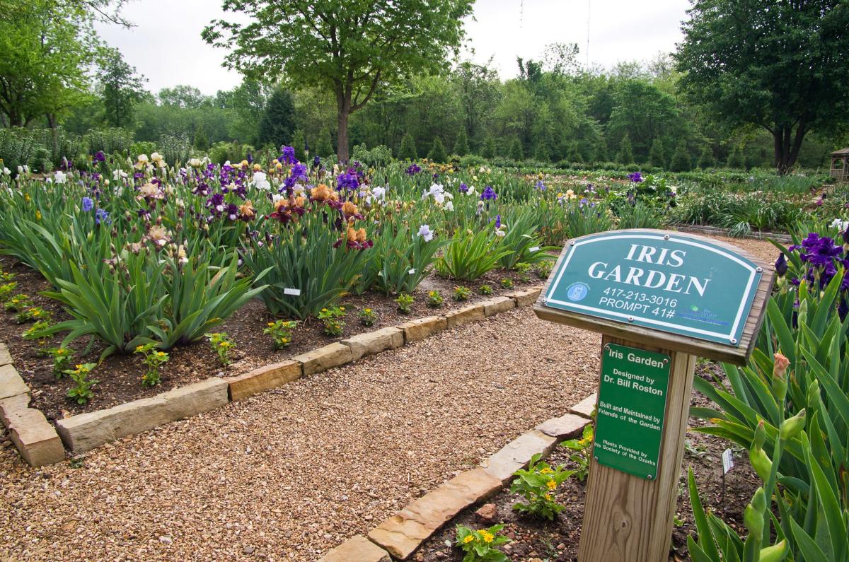 Nathanael Greene Iris Garden