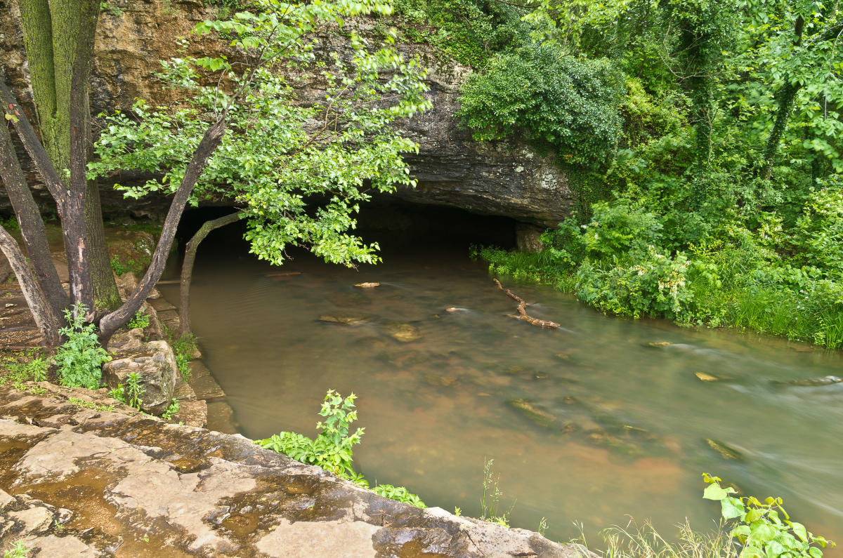 Sequiota Park