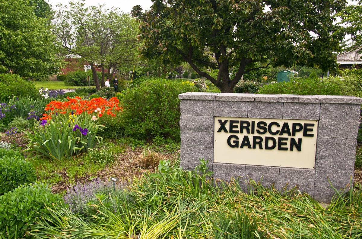 Water Wise Xeriscape Garden