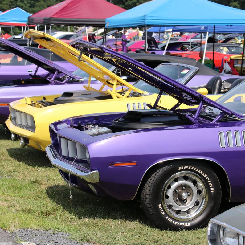 Line of muscle cars with hoods up at the Carlisle Chrysler Nationals