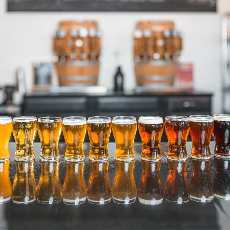 Draft beer in glasses lined up at Desperate Times Brewery