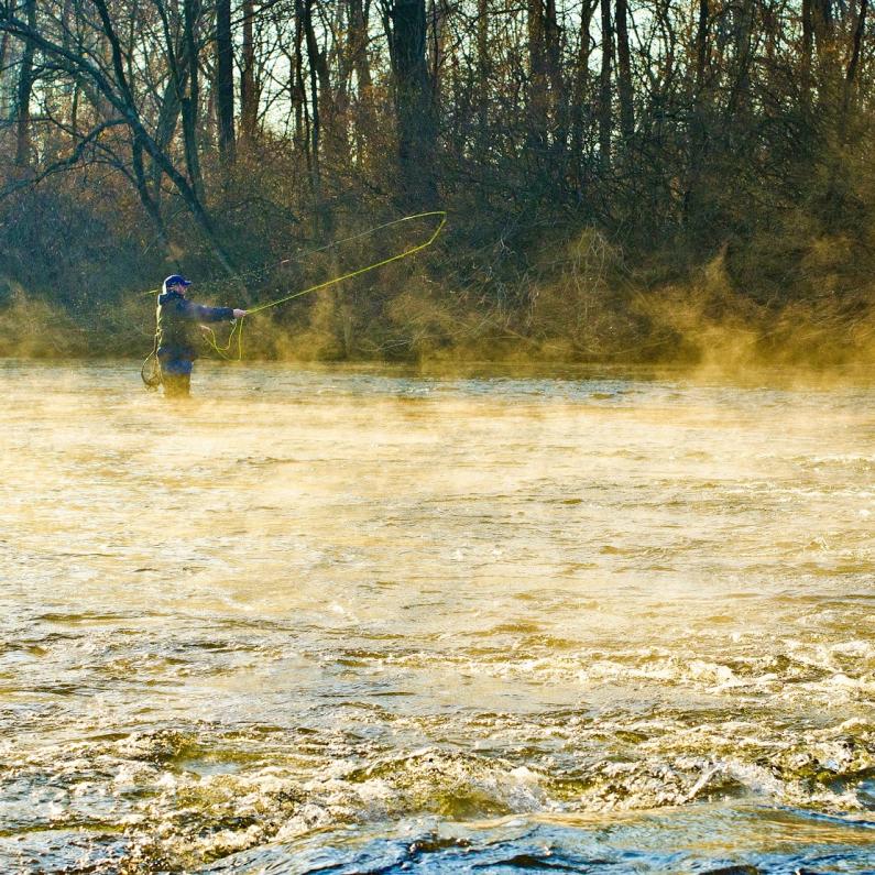 Man Fly Fishing in Cumberland Valley